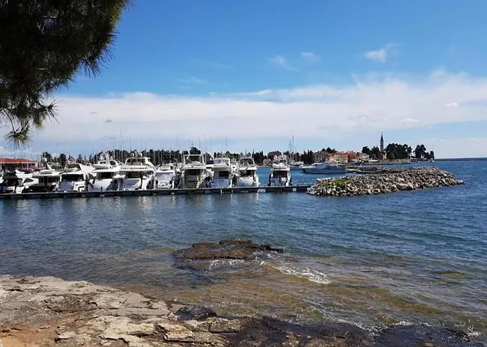 In Novigrad With Private Pool And Vakantiehuis