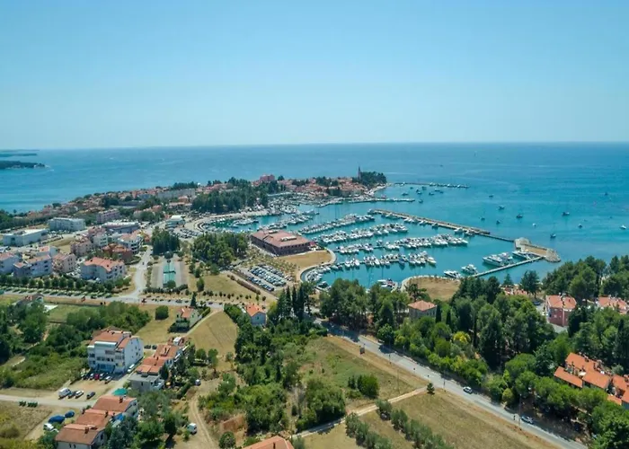 In Novigrad With Private Pool And