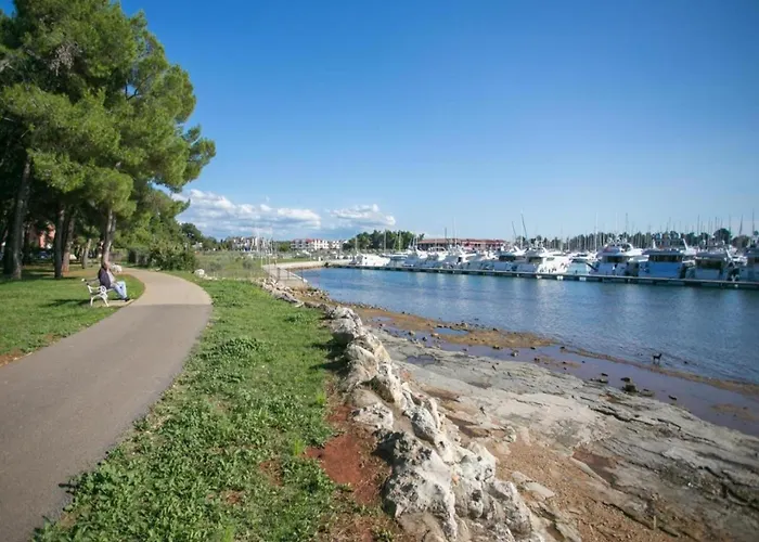 In Novigrad With Private Pool And Nyaraló