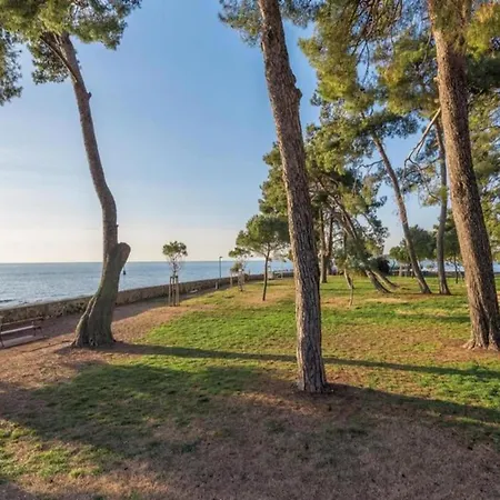 Pleasant In Novigrad בית נופש Novigrad Istria