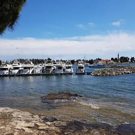 In Novigrad With Private Pool And 別荘
