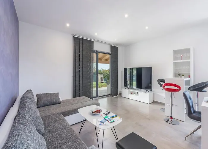 In Novigrad With Private Pool And Holiday home