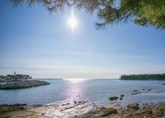 In Novigrad With Private Pool And