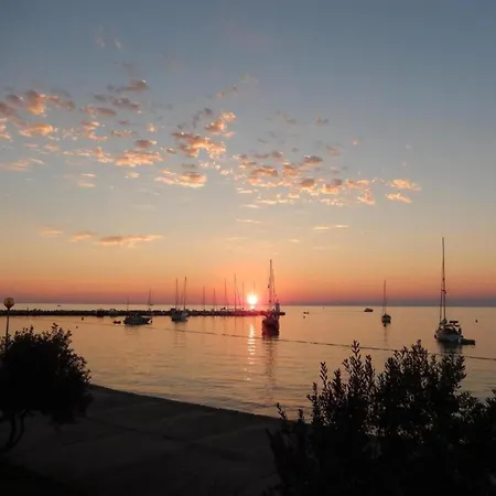 Pleasant In Novigrad