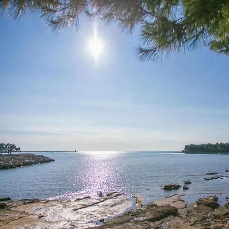 Pleasant In Novigrad Holiday home