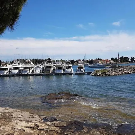 Holiday home Pleasant In Novigrad Novigrad (Istria)